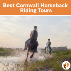 Best Cornwall Horseback Riding Tours