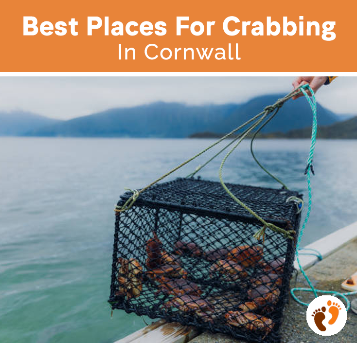 Best Places For Crabbing In Cornwall 